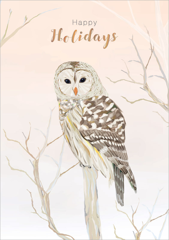 Turnowsky - Holiday Owl - Christmas Card #MO8513