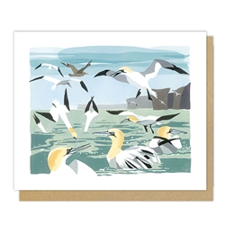 Gannets Sea Blank Card 