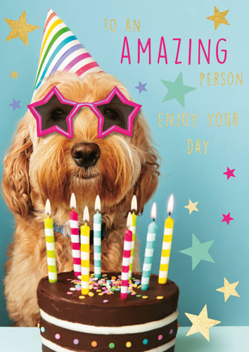 Ling Design, Ltd. - Dog and Cake Birthday Card #LNQ0444