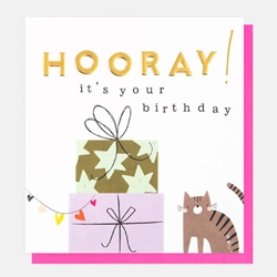 Cat and Presents Happy Birthday Card 