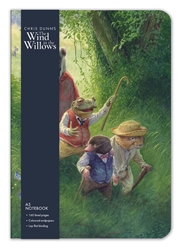 Chris Dunn's Evening Walk A5 Journal 