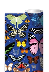 Mary Katrantzou Butterflies Roll Wrap 