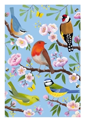 Multi Birds Blank Card 