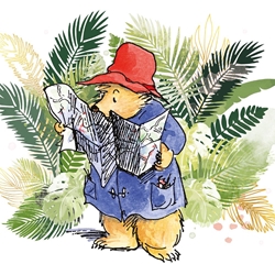 Paddington in Peru Blank Greeting Card 