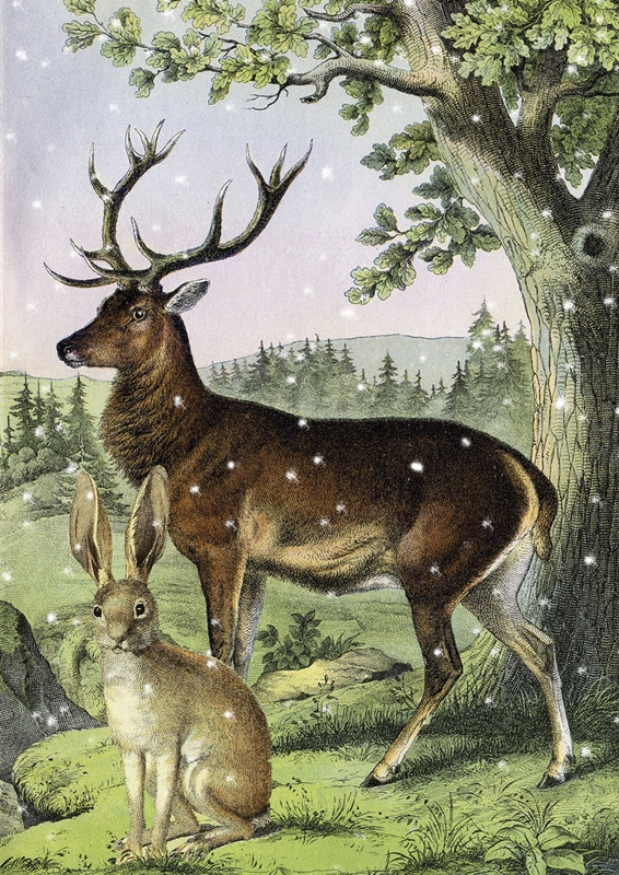 Rabbit and Deer in Snow Greeting Card