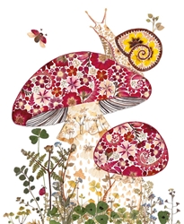 Snail & Toadstools Blank Greeting Card 