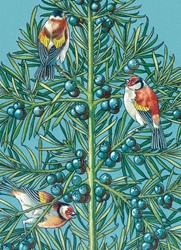 Three Gold Finches Boxed Cards 