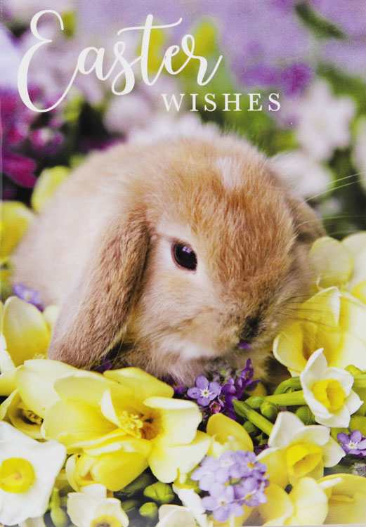 Rabbit in Flowers Easter Card