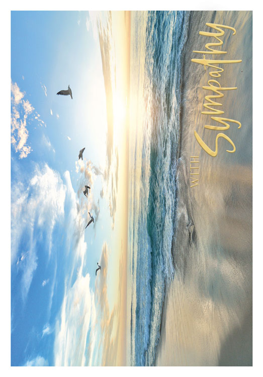 Beach Gulls Sympathy Card