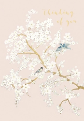 White Flower Branches Thinking of You Card