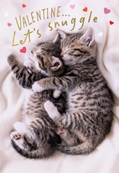 Snuggle Kittens Valentines Card