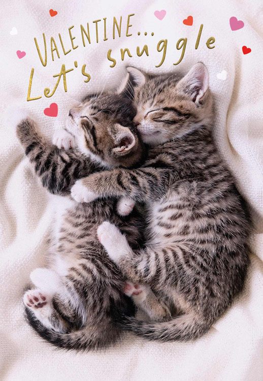 Snuggle Kittens Valentine's Card