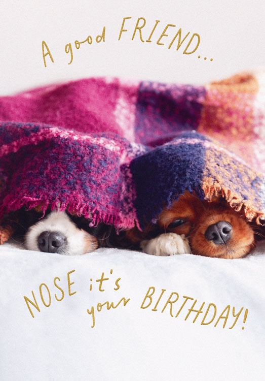 A Good Friend Nose Birthday Card