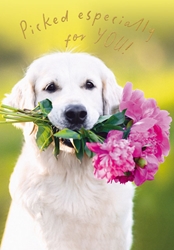 Dog with Flower Bouquet Birthday Card