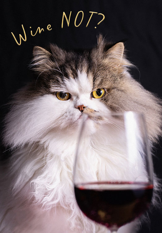 Wine Not Birthday Card