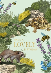 Birthday Turtle Greeting Card