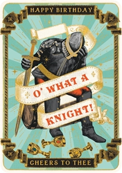 Birthday Knights Greeting Card