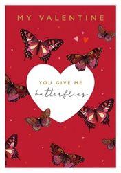 Give Me Butterflies Valentines Day Card