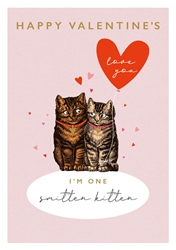 Smitten Kittens Valentines Day