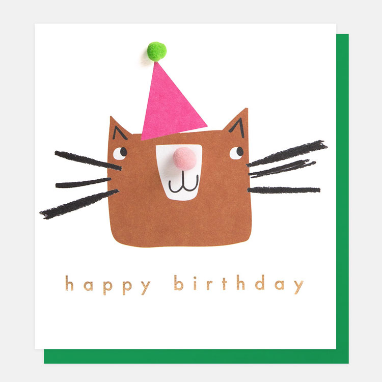 Party Cat Birthday Card