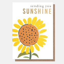 Send Sunshine Friendship Card