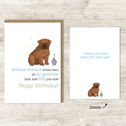 Wrinkle Wrinkle Little Star Birthday Card