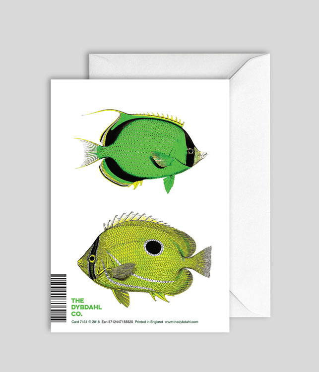 Two Fish Blank Card