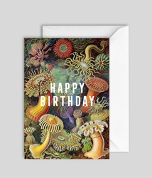 Sea Life Birthday Card