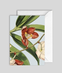 Orange Orchid Blank Card