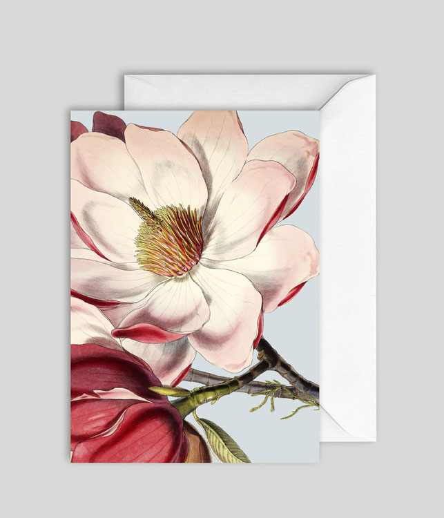 Magnolia Blank Card