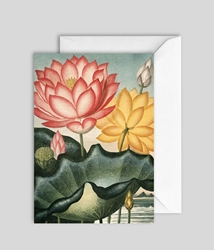 Waterlilies Blank Card