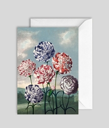 Blue and Red Carnations Blank Card