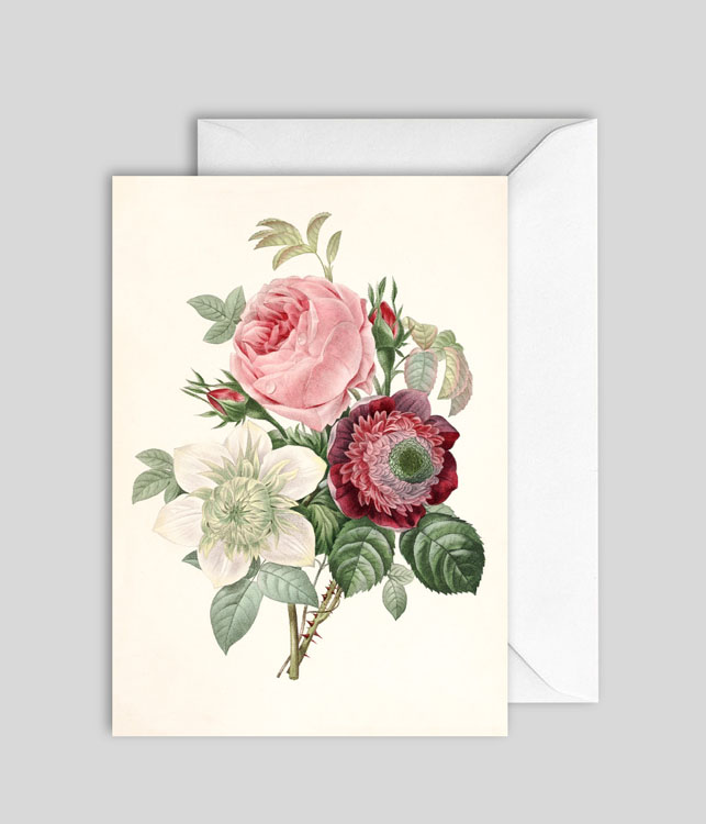 Rosa Blank Card