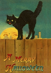 Cat Moon Halloween Greeting Card