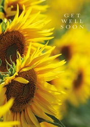 Sunflowers Get Well Card