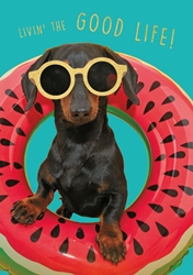 Dog in Pool Birthday Card