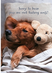 Dog Get Well Card