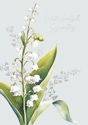 Sympathy Lily Greeting Card