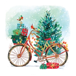 Christmas Bike Boxed Cards 
