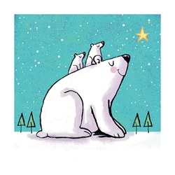 Polar Bears Boxed Cards 