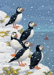 Puffins in the Snow Boxed Cards 