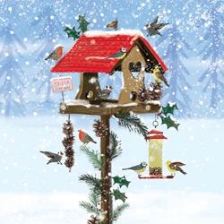 Festive Bird House Boxed Cards 