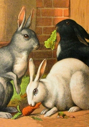 Rabbits and Carrots Easter Card