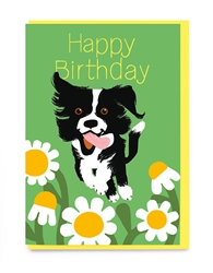 Birthday Dog Daisy Greeting Card