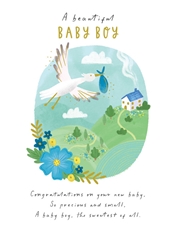 Beautiful Baby Boy Card