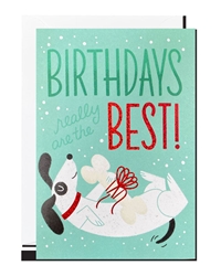 Birthday Dog Greeting Card