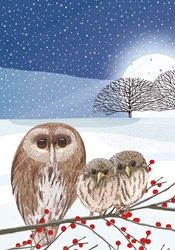 Owls and Moon Boxed Cards