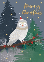 Owl in Santa Hat Greeting Card